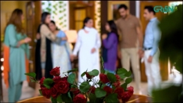 Shehzadi House - Episode 15